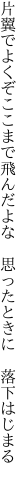 片翼でよくぞここまで飛んだよな  思ったときに 落下はじまる