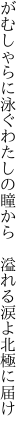 がむしゃらに泳ぐわたしの瞳から  溢れる涙よ北極に届け