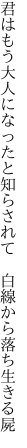 君はもう大人になったと知らされて  白線から落ち生きる屍