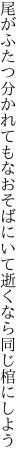 尾がふたつ分かれてもなおそばにいて 逝くなら同じ棺にしよう