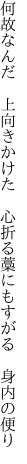何故なんだ 上向きかけた 心折る 藁にもすがる 身内の便り
