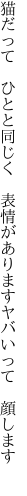 猫だって ひとと同じく 表情が ありますヤバいって 顔します 