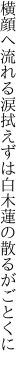横顔へ流れる涙拭えずは 白木蓮の散るがごとくに