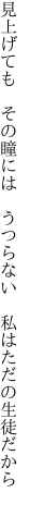 見上げても その瞳には うつらない  私はただの生徒だから