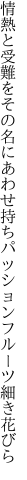 情熱と受難をその名にあわせ持ち パッションフルーツ細き花びら