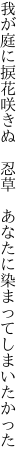 我が庭に捩花咲きぬ 忍草  あなたに染まってしまいたかった