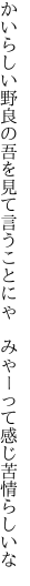 かいらしい野良の吾を見て言うことにゃ  みゃーって感じ苦情らしいな