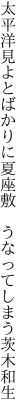 太平洋見よとばかりに夏座敷  うなってしまう茨木和生