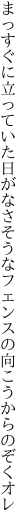 まっすぐに立っていた日がなさそうな フェンスの向こうからのぞくオレ