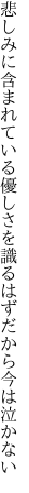 悲しみに含まれている優しさを 識るはずだから今は泣かない