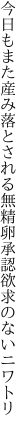 今日もまた産み落とされる無精卵 承認欲求のないニワトリ