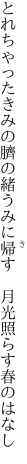とれちゃったきみの臍の緒うみに帰す  月光照らす春のはなし