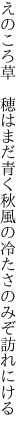 えのころ草 穂はまだ青く秋風の 冷たさのみぞ訪れにける