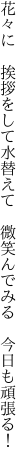 花々に 挨拶をして水替えて　 微笑んでみる 今日も頑張る！