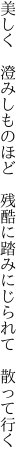 美しく 澄みしものほど 残酷に 踏みにじられて 散って行く