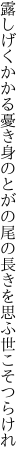 露しげくかかる憂き身のとがの尾の 長きを思ふ世こそつらけれ