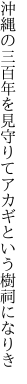 沖縄の三百年を見守りて アカギという樹祠になりき