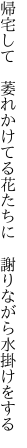 帰宅して 萎れかけてる花たちに　 謝りながら水掛けをする