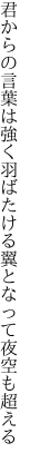 君からの言葉は強く羽ばたける 翼となって夜空も超える