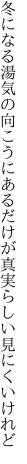 冬になる湯気の向こうにあるだけが 真実らしい見にくいけれど