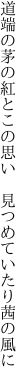 道端の茅の紅とこの思い  見つめていたり茜の風に