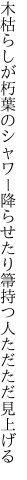 木枯らしが朽葉のシャワー降らせたり 箒持つ人ただただ見上げる