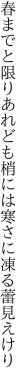 春までと限りあれども梢には 寒さに凍る蕾見えけり