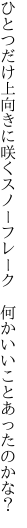 ひとつだけ上向きに咲くスノーフレーク  何かいいことあったのかな？