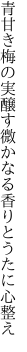 青甘き梅の実醸す微かなる 香りとうたに心整え