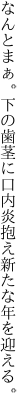 なんとまぁ。下の歯茎に口内炎 抱え新たな年を迎える。