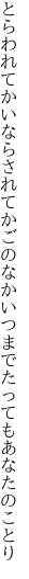 とらわれてかいならされてかごのなか いつまでたってもあなたのことり