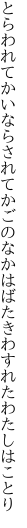 とらわれてかいならされてかごのなか はばたきわすれたわたしはことり