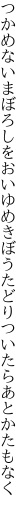 つかめないまぼろしをおいゆめきぼう たどりついたらあとかたもなく