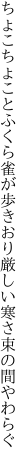 ちょこちょことふくら雀が歩きおり 厳しい寒さ束の間やわらぐ
