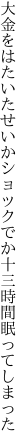 大金をはたいたせいかショックでか 十三時間眠ってしまった