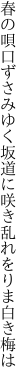 春の唄口ずさみゆく坂道に 咲き乱れをりま白き梅は