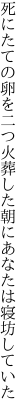 死にたての卵を二つ火葬した 朝にあなたは寝坊していた