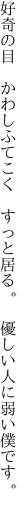 好奇の目　かわしふてこく　すっと居る。 　優しい人に弱い僕です。