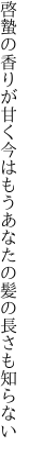 啓蟄の香りが甘く今はもう あなたの髪の長さも知らない