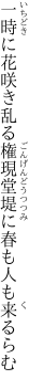 一時に花咲き乱る権現堂堤に 春も人も来るらむ