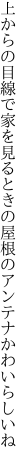 上からの目線で家を見るときの 屋根のアンテナかわいらしいね