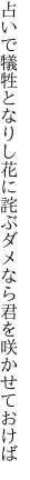 占いで犠牲となりし花に詫ぶ ダメなら君を咲かせておけば
