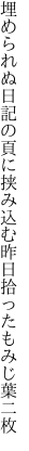 埋められぬ日記の頁に挟み込む 昨日拾ったもみじ葉二枚