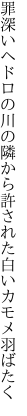 罪深いヘドロの川の隣から 許された白いカモメ羽ばたく