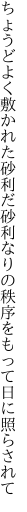 ちょうどよく敷かれた砂利だ砂利なりの 秩序をもって日に照らされて