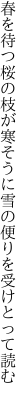 春を待つ桜の枝が寒そうに 雪の便りを受けとって読む