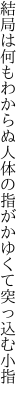 結局は何もわからぬ人体の 指がかゆくて突っ込む小指