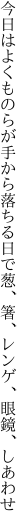 今日はよくものらが手から落ちる日で 葱、箸、レンゲ、眼鏡、しあわせ