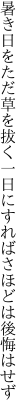 暑き日をただ草を拔く一日に すればさほどは後悔はせず