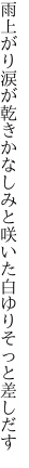 雨上がり涙が乾きかなしみと 咲いた白ゆりそっと差しだす